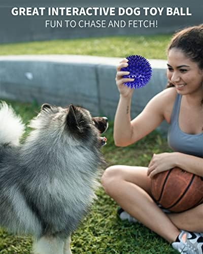 Pweıtuoet 2 Paket 4.5” Orta Büyük Köpekler için Ağır Hizmet Tipi Gıcırtılı Köpek Topu, Temiz Dişler ve Eğitim için