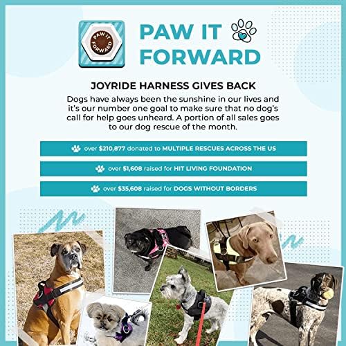 Joyride Koşum Takımı Çift Köpek Tasması, Yürüyüşler için 55 Dayanıklı Tasma, Döner Saplı Güçlü Çift Tasma, Kullanımı