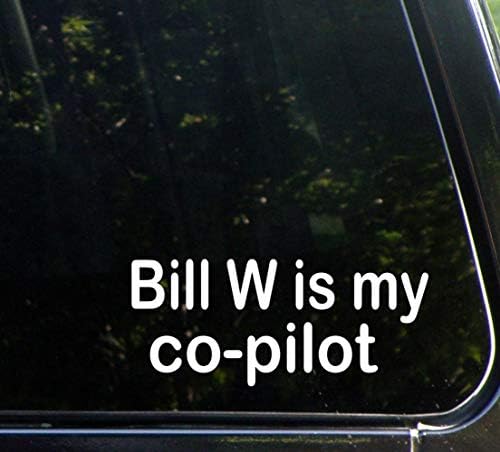 Bill W benim Yardımcı Pilotum 9 inç