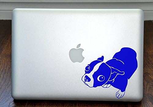 Molly Boston Terrier 13 Dizüstü Bilgisayar için Mavi Çıkartma