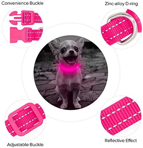 BSEEN Light Up Köpek Tasmaları-Küçük Köpekler ve Kediler için Şarj Edilebilir Parlayan LED köpek tasması (Pembe)